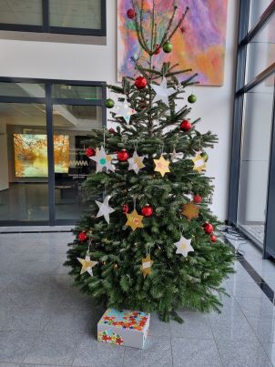 Wunschsternbaum k